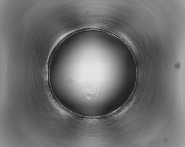 X0000096130940200802011144