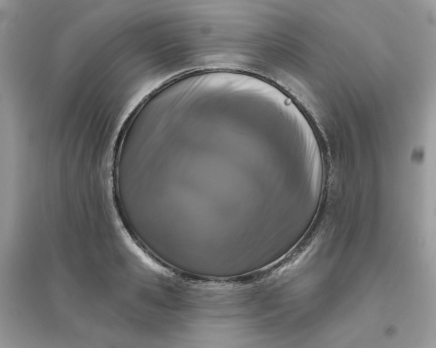 X0000096130941200802011144