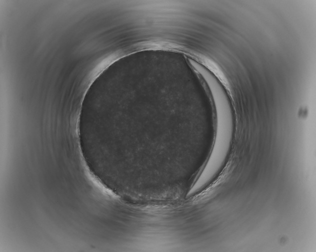 X0000096130946200802011144