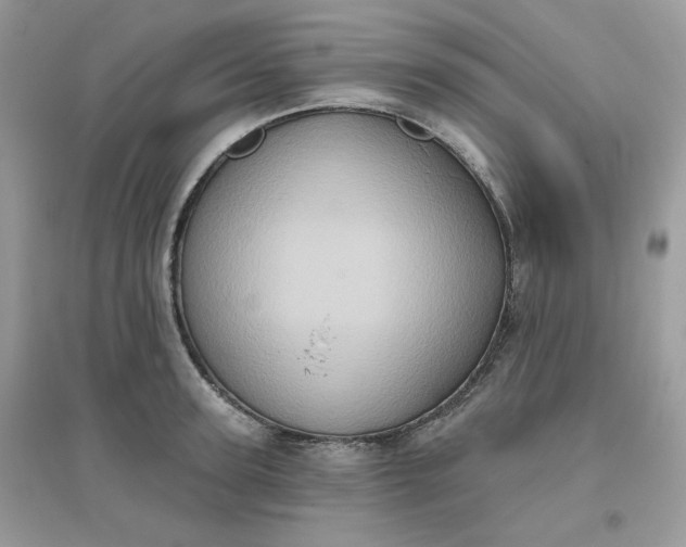 X0000096130947200802011144