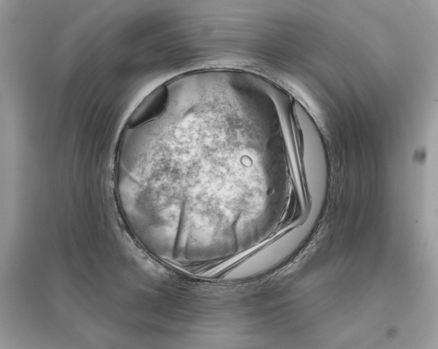 X0000096130948200802011144