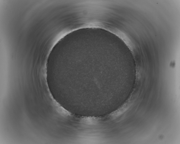 X0000096130950200802011144