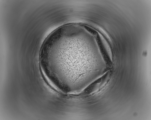 X0000096130951200802011145
