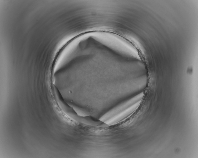 X0000096130952200802011145