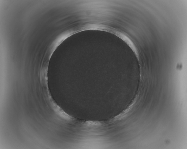 X0000096130954200802011145