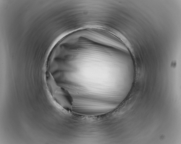 X0000096130955200802011145