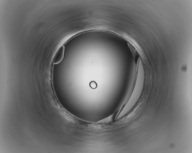 X0000096130956200802011145