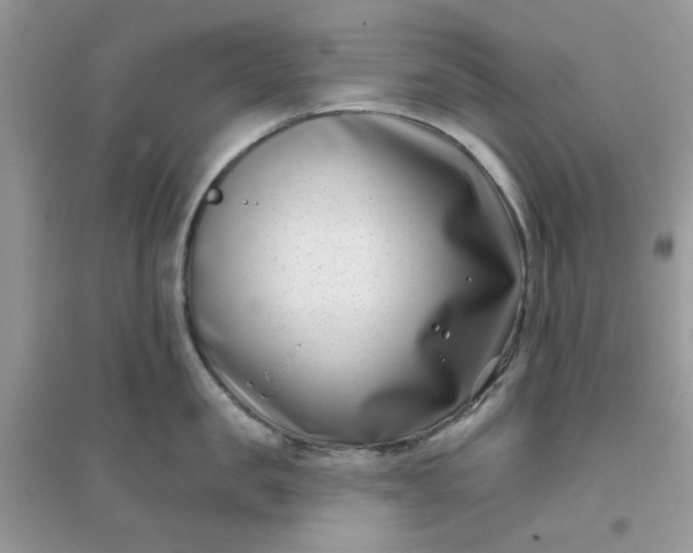 X0000096130957200802011145