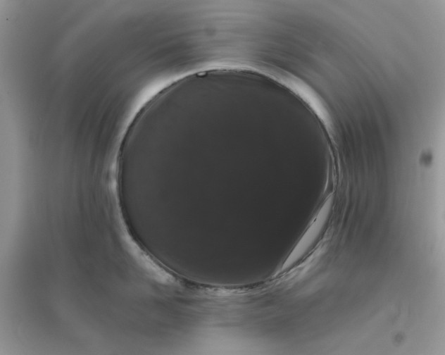 X0000096130958200802011145