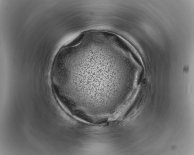 X0000096130959200802011145