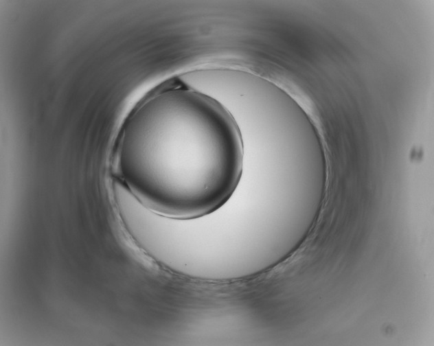 X0000096130960200802011145