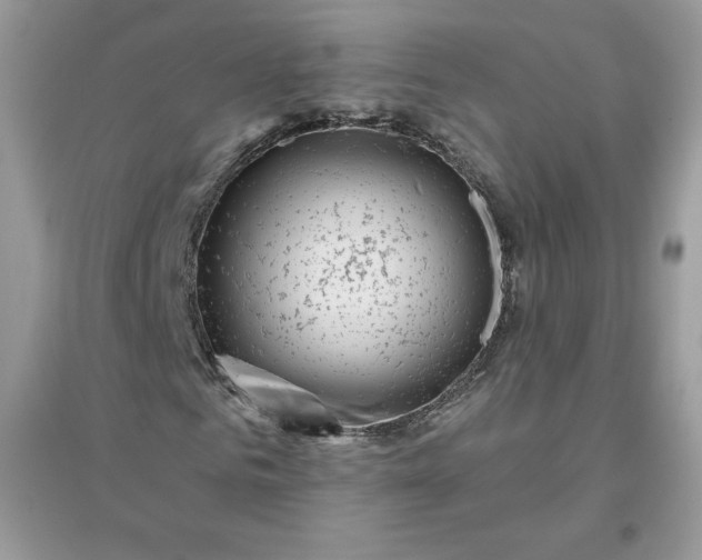 X0000096130961200802011144