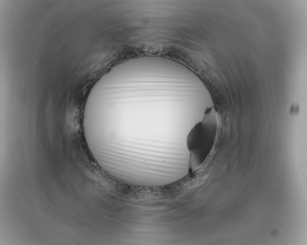 X0000096130962200802011144