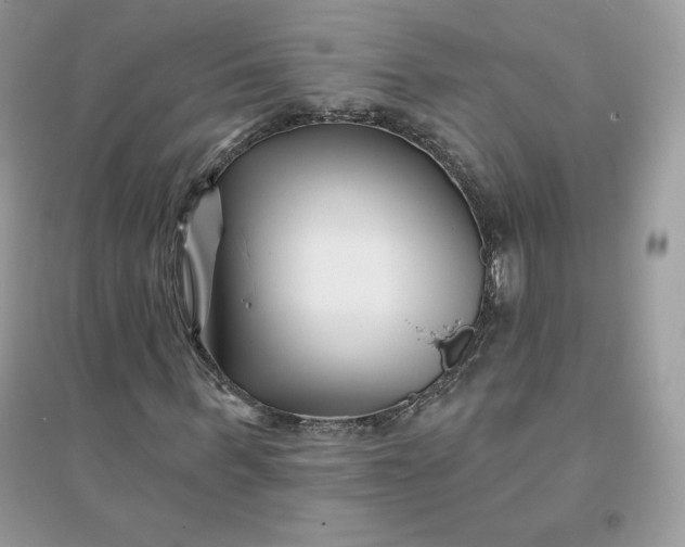 X0000096130963200802011144