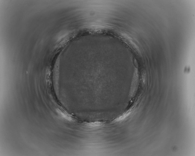 X0000096130964200802011144