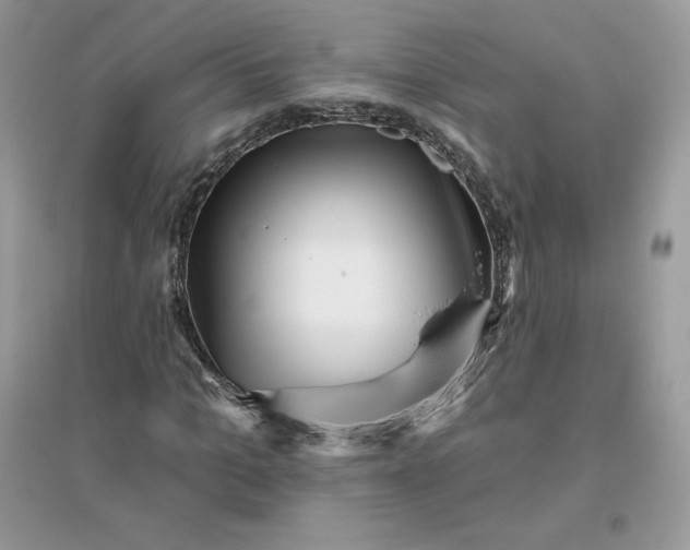 X0000096130965200802011144