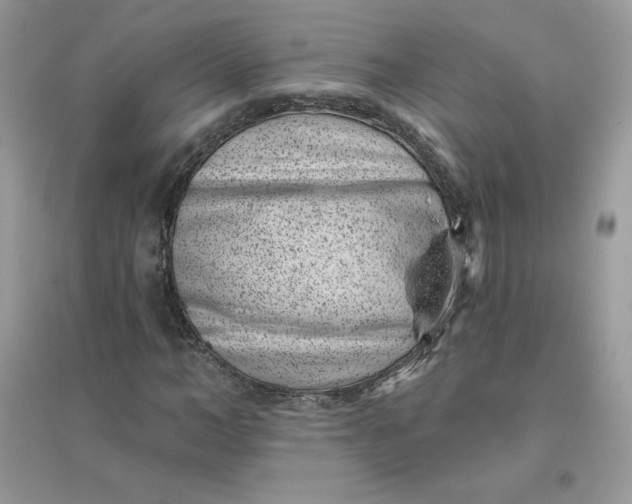 X0000096130966200802011144