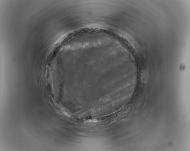 X0000096130968200802011144