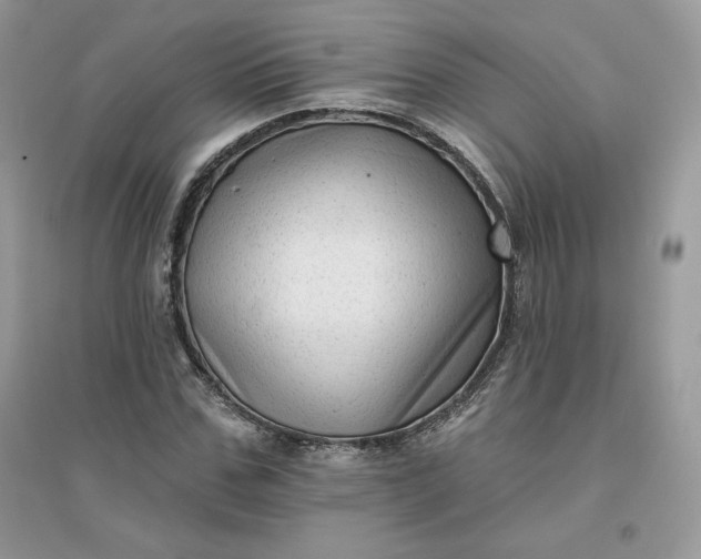 X0000096130971200802011144