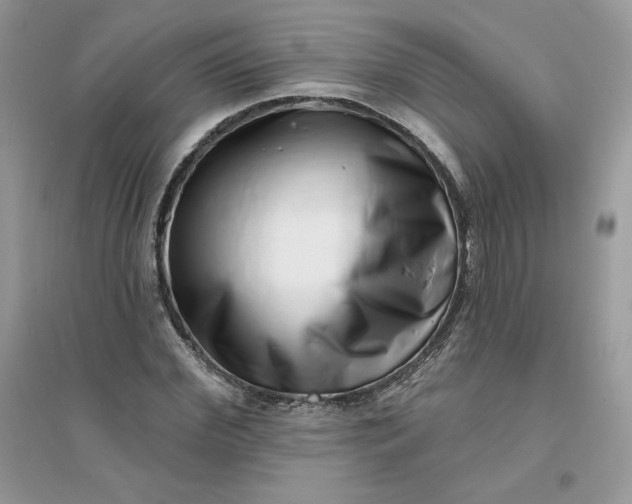 X0000096130972200802011144