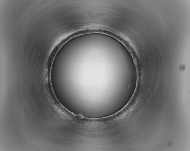 X0000096130973200802011144