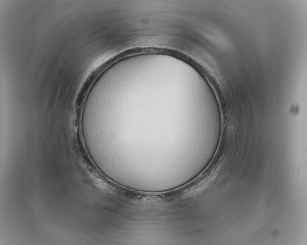 X0000096130974200802011144