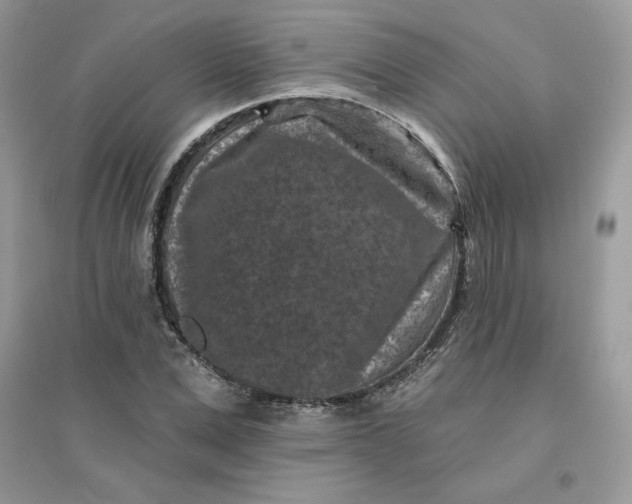 X0000096130975200802011144