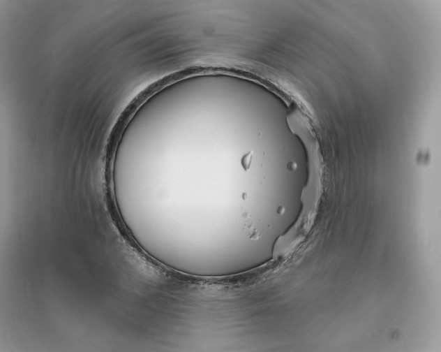 X0000096130976200802011144