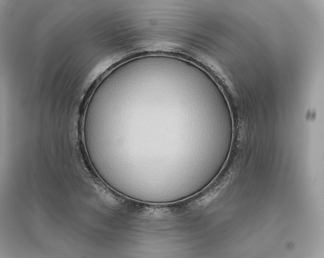 X0000096130978200802011144