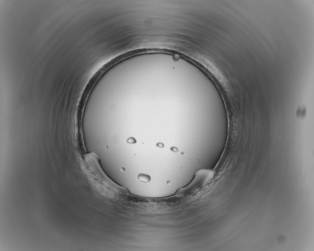 X0000096130980200802011144