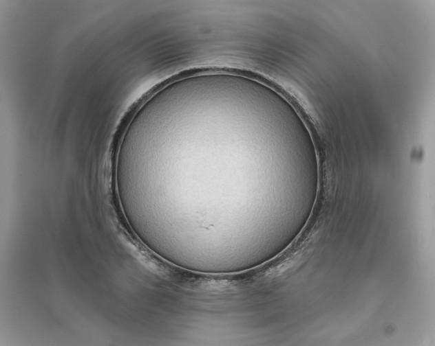 X0000096130982200802011144