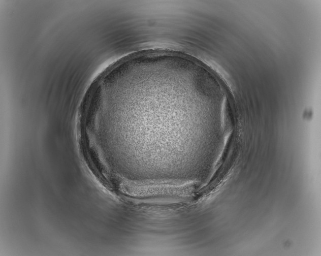 X0000096130983200802011144