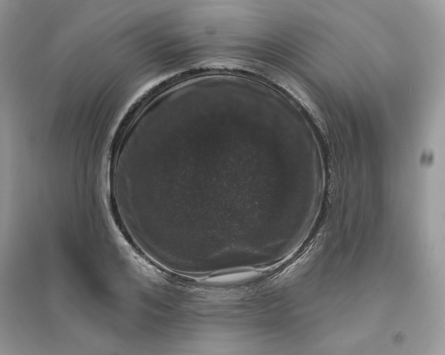 X0000096130984200802011144
