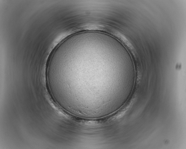 X0000096130986200802011144