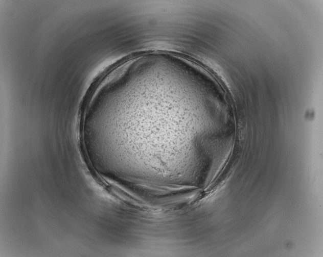 X0000096130987200802011144