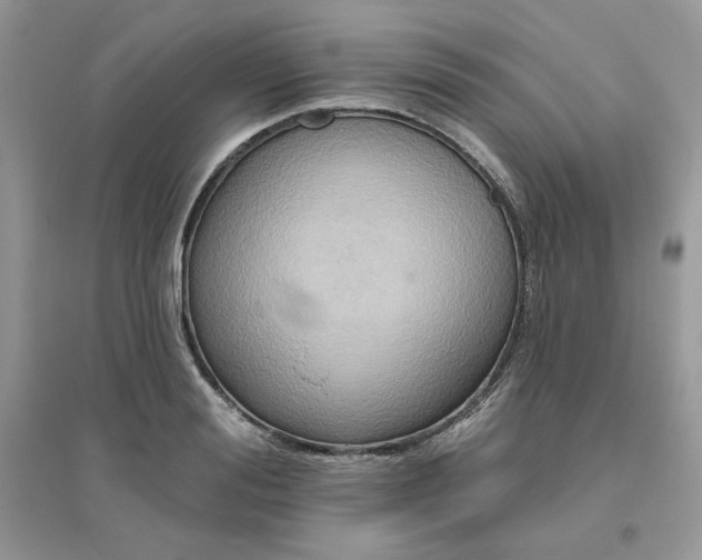 X0000096130988200802011144