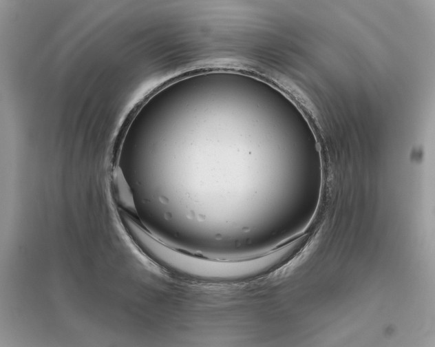 X0000096130989200802011144