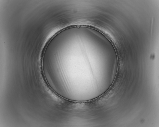 X0000096130990200802011144