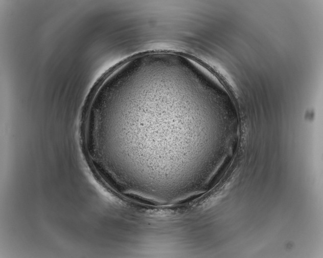 X0000096130991200802011144