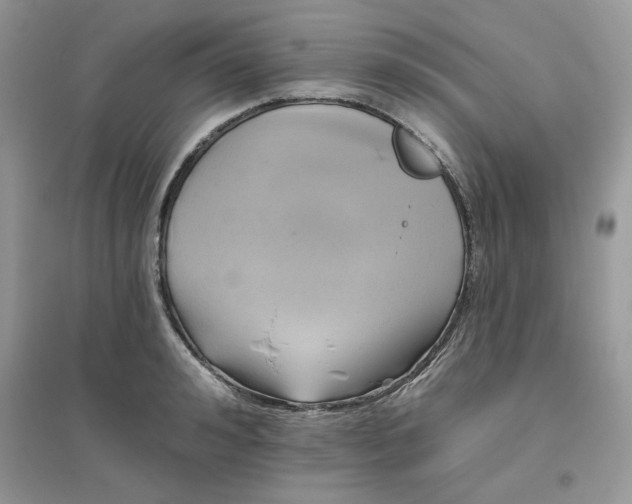 X0000096130992200802011144