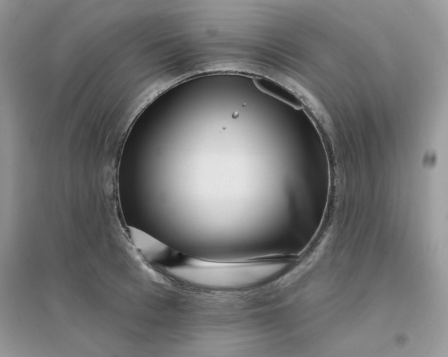 X0000096130993200802011144