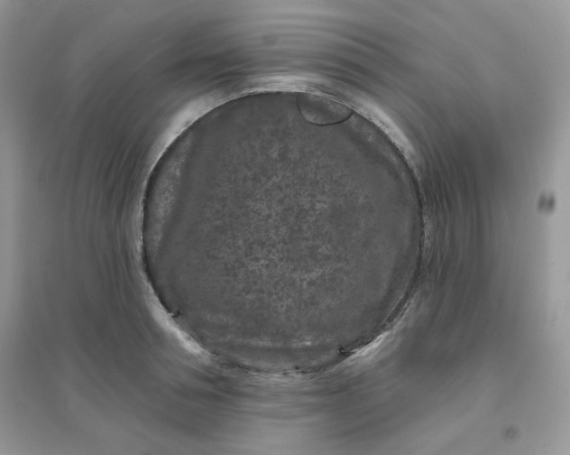 X0000096130994200802011144