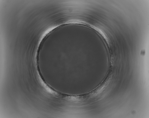 X0000096130995200802011143