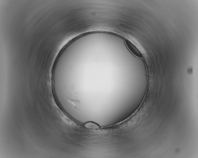 X0000096130996200802011143