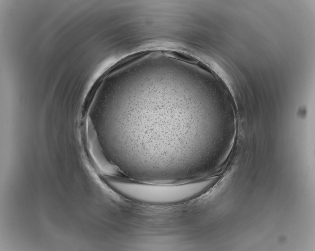 X0000096130997200802011143