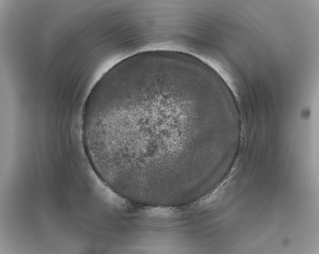 X0000096130998200802011143