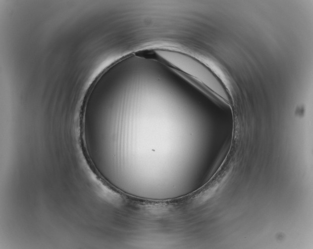 X0000096130999200802011143