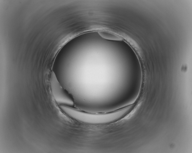 X0000096131001200802011143