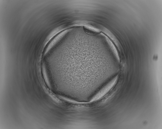 X0000096131002200802011143