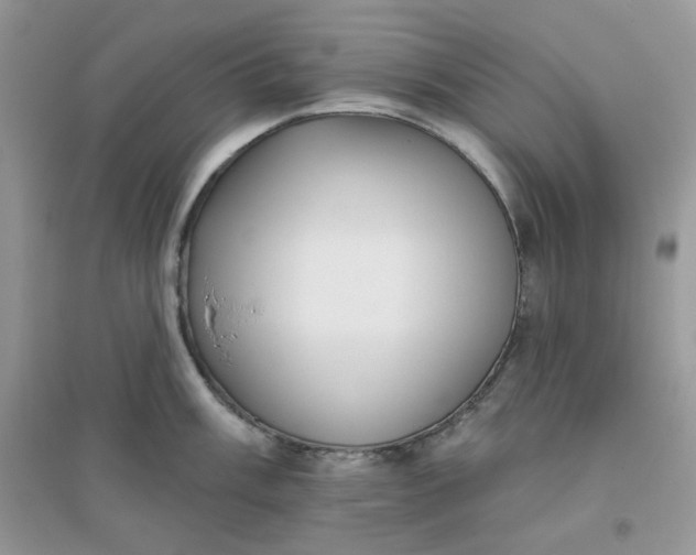 X0000096131003200802011143